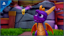 Spyro fans show off their 100% collections in a big way
