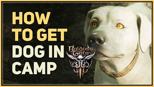 Can you pet the dog in Baldur’s Gate 3?