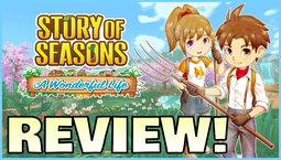 A complete list of Van’s store items in Story of Seasons: A Wonderful Life