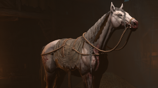 Poor Diablo 4 horse is already being mercilessly slaughtered Poor Diablo 4 horse is already being mercilessly slaughtered
