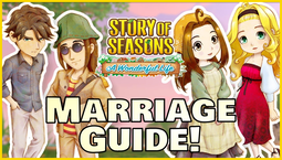 Best gifts in Story of Seasons: A Wonderful Life