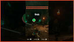 The Legend of Zelda: Breath of the Wild heart and stamina stats