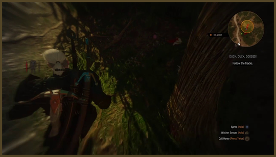How to complete The Witcher 3 duck quest
