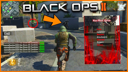Call of Duty lobbies are infested with hackers, especially in Black Ops 2