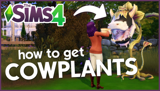 Grow your own Sims 4 Dragon Fruit for $250 a pop