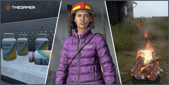 Dayz Disease Guide And Symptoms List Dayz Disease Guide And Symptoms List