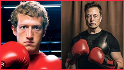 Elon Musk and Mark Zuckerberg want to fight in a cage