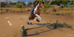 The Sims 4 Horse Ranch – how to become a Champion Rider