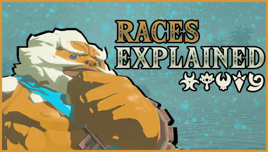 The Legend of Zelda races – all 14 major races