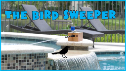 Raspberry Pi bird sweeper project is both cute and terrifying