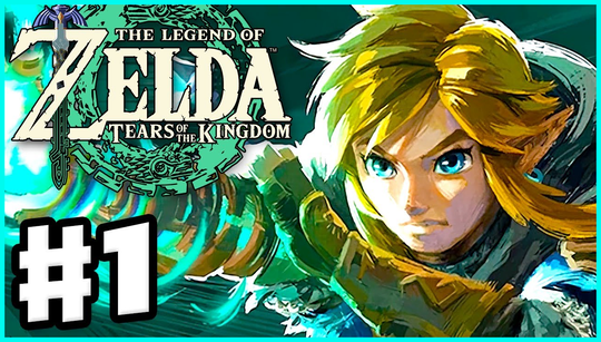 The Legend of Zelda: Tears of the Kingdom has a punishment ward