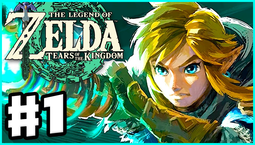 The Legend of Zelda: Tears of the Kingdom has a punishment ward