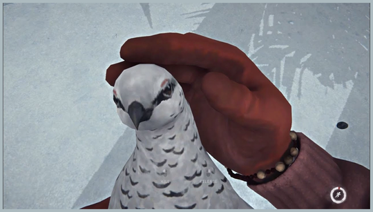 How to hunt Ptarmigans in The Long Dark