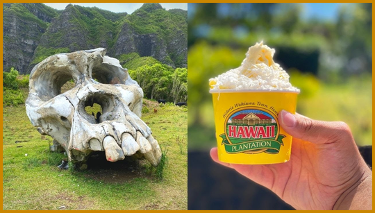 Where Kong: Skull Island was filmed