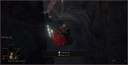 FromSoftware fan spends two days grinding for over 10 million Runes in Elden Ring