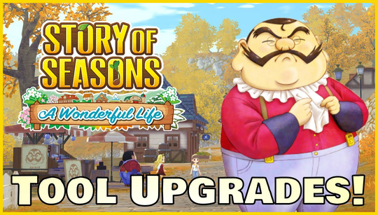 Story of Seasons: A Wonderful Life building upgrades