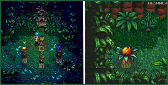 All Stardew Valley Golden Walnuts locations