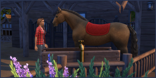 The Sims 4 Horse Ranch expansion is all about horses, but it’s so much more