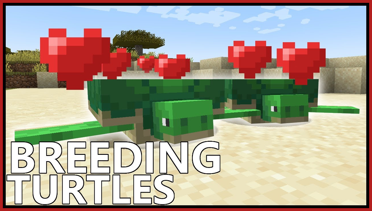 How To Breed Turtles In Minecraft