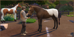 The Sims 4: Horse Ranch tips for keeping your horses happy