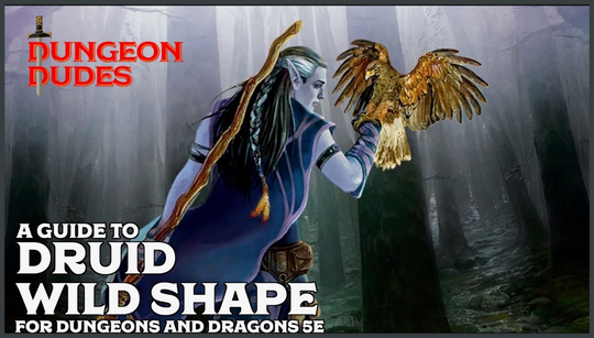 D&D Wild Shape – everything you need to know