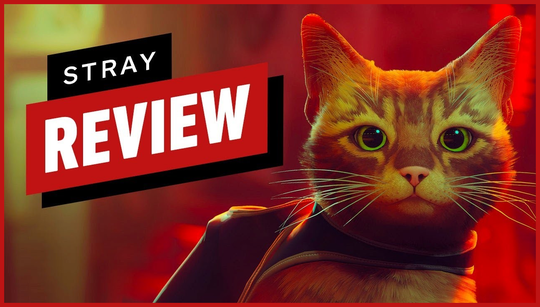 Stray: A Beautiful Game with Mixed Reviews Stray: A Beautiful Game with Mixed Reviews
