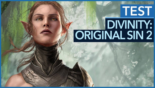 Is Divinity Original Sin 2 worth $60?