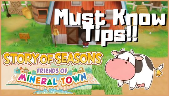 Story of Seasons Friends of Mineral Town guide